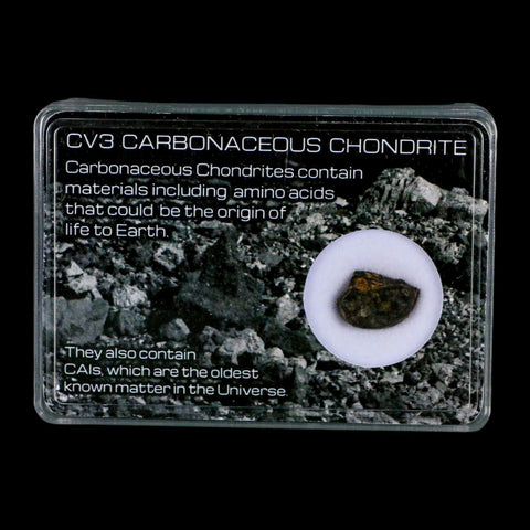 0.5" CV3 Carbonaceous Chondrite Meteorite Specimen CAIS Display - Fossil Age Minerals