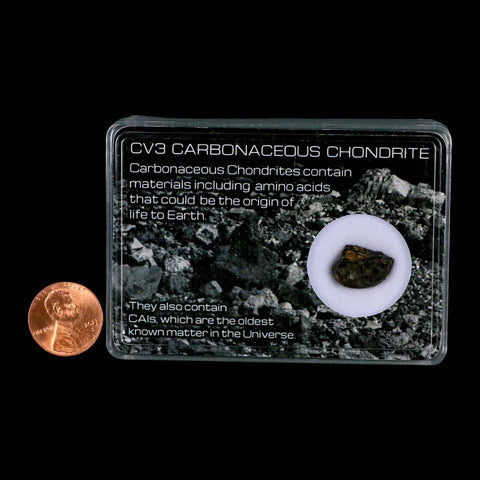 0.5" CV3 Carbonaceous Chondrite Meteorite Specimen CAIS Display - Fossil Age Minerals