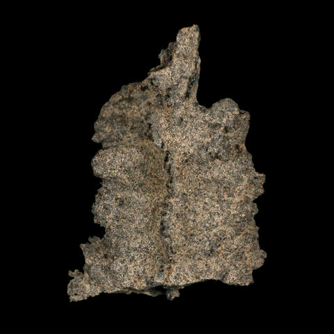 2.4" Fulgurite Petrified Lightning Strike Glass Sahara Desert Algeria - Fossil Age Minerals