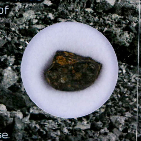 0.5" CV3 Carbonaceous Chondrite Meteorite Specimen CAIS Display - Fossil Age Minerals