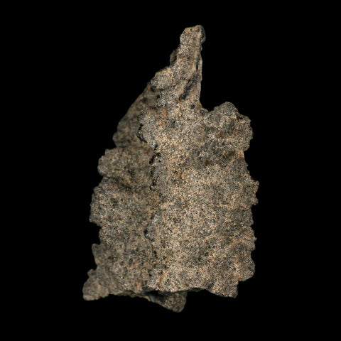 2.4" Fulgurite Petrified Lightning Strike Glass Sahara Desert Algeria - Fossil Age Minerals