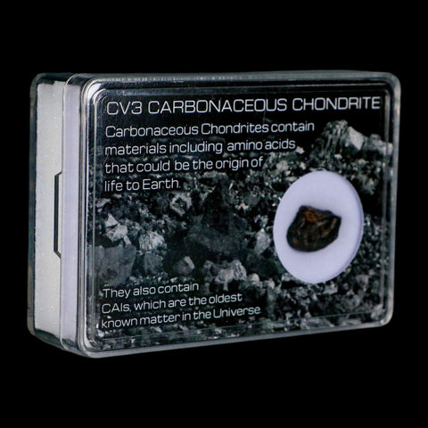 0.5" CV3 Carbonaceous Chondrite Meteorite Specimen CAIS Display - Fossil Age Minerals