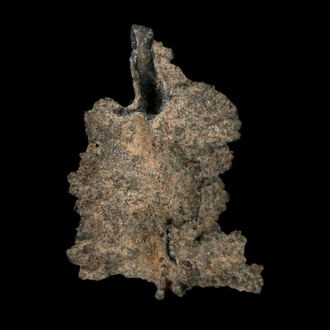2.4" Fulgurite Petrified Lightning Strike Glass Sahara Desert Algeria - Fossil Age Minerals