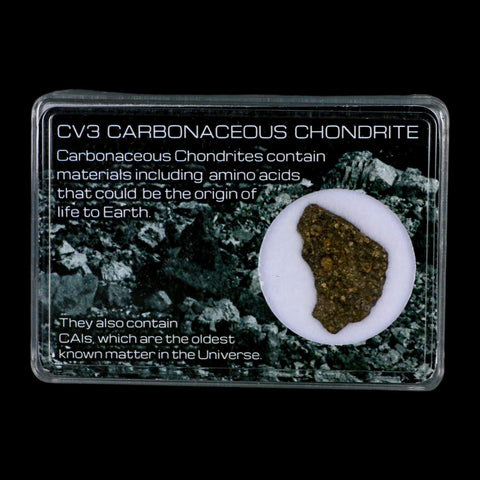 0.8" CV3 Carbonaceous Chondrite Meteorite Specimen CAIS Display - Fossil Age Minerals