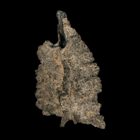 2.4" Fulgurite Petrified Lightning Strike Glass Sahara Desert Algeria - Fossil Age Minerals