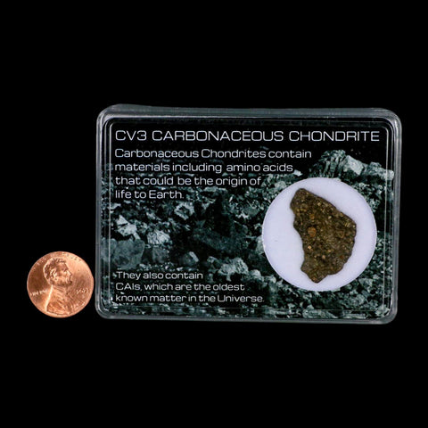 0.8" CV3 Carbonaceous Chondrite Meteorite Specimen CAIS Display - Fossil Age Minerals