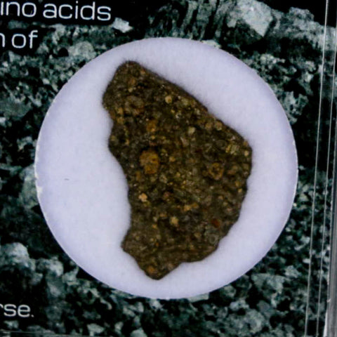 0.8" CV3 Carbonaceous Chondrite Meteorite Specimen CAIS Display - Fossil Age Minerals