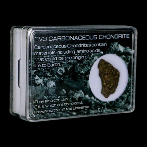 0.8" CV3 Carbonaceous Chondrite Meteorite Specimen CAIS Display - Fossil Age Minerals