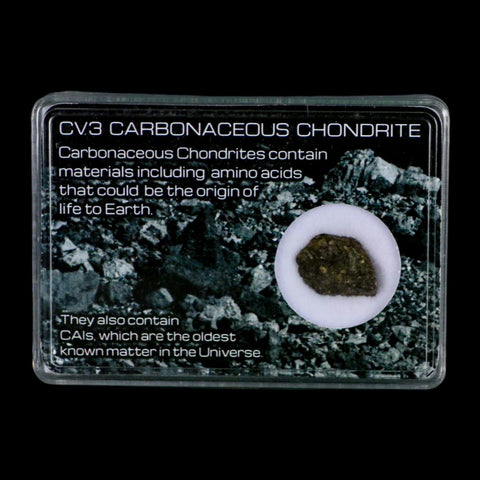 0.6" CV3 Carbonaceous Chondrite Meteorite Specimen CAIS Display - Fossil Age Minerals