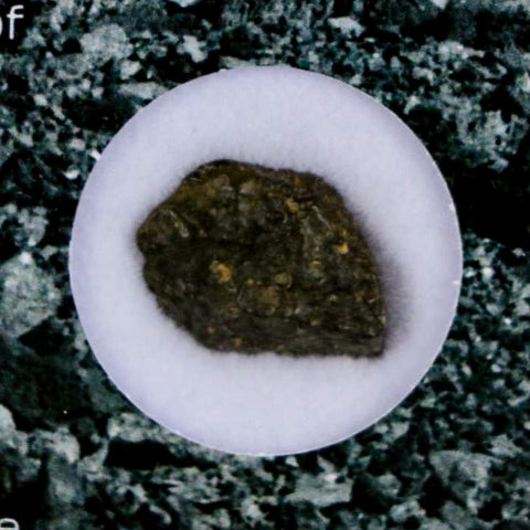 0.6" CV3 Carbonaceous Chondrite Meteorite Specimen CAIS Display - Fossil Age Minerals