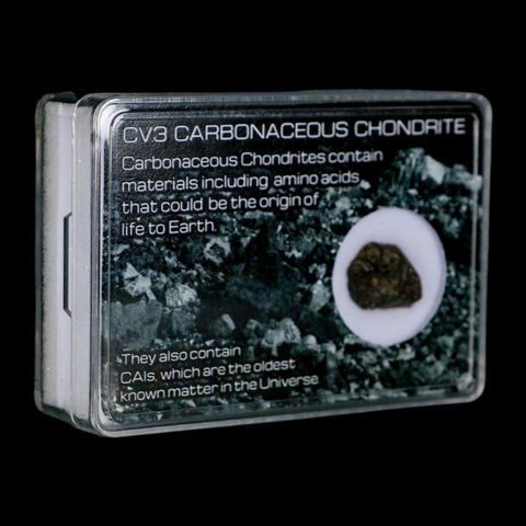 0.6" CV3 Carbonaceous Chondrite Meteorite Specimen CAIS Display - Fossil Age Minerals