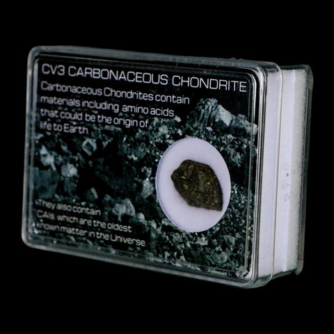 0.6" CV3 Carbonaceous Chondrite Meteorite Specimen CAIS Display - Fossil Age Minerals