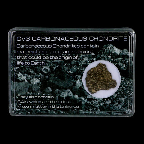0.8" CV3 Carbonaceous Chondrite Meteorite Specimen CAIS Display - Fossil Age Minerals