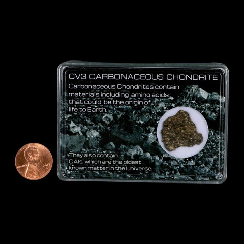 0.8" CV3 Carbonaceous Chondrite Meteorite Specimen CAIS Display - Fossil Age Minerals