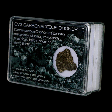 0.8" CV3 Carbonaceous Chondrite Meteorite Specimen CAIS Display - Fossil Age Minerals