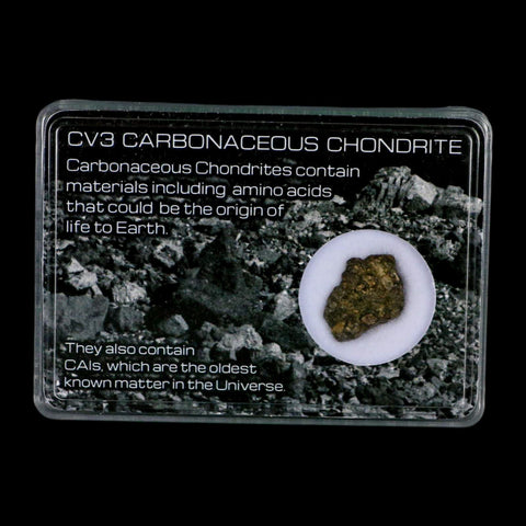 0.7" CV3 Carbonaceous Chondrite Meteorite Specimen CAIS Display - Fossil Age Minerals