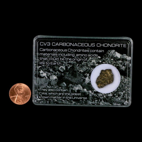 0.7" CV3 Carbonaceous Chondrite Meteorite Specimen CAIS Display - Fossil Age Minerals