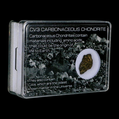 0.7" CV3 Carbonaceous Chondrite Meteorite Specimen CAIS Display - Fossil Age Minerals