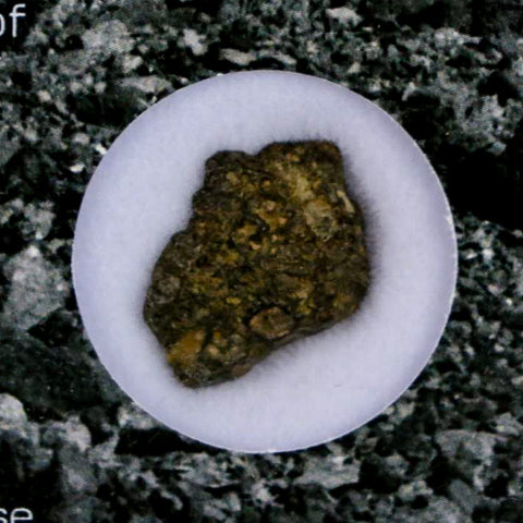 0.7" CV3 Carbonaceous Chondrite Meteorite Specimen CAIS Display - Fossil Age Minerals