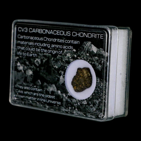 0.7" CV3 Carbonaceous Chondrite Meteorite Specimen CAIS Display - Fossil Age Minerals