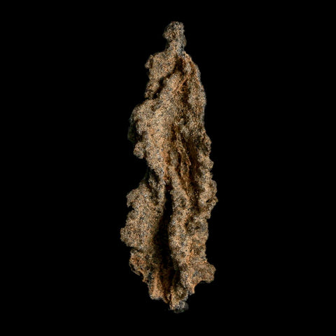 2.6" Fulgurite Petrified Lightning Strike Glass Sahara Desert Algeria - Fossil Age Minerals