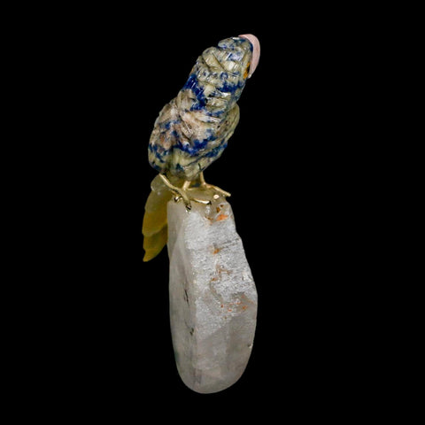 3.6" Hand Carved Bird Perched on Crystal Crystal Parrot Sodalite, Yellow Calcite Peru - Fossil Age Minerals
