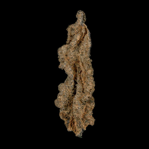2.6" Fulgurite Petrified Lightning Strike Glass Sahara Desert Algeria - Fossil Age Minerals