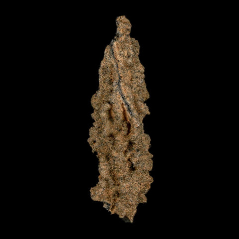 2.6" Fulgurite Petrified Lightning Strike Glass Sahara Desert Algeria - Fossil Age Minerals