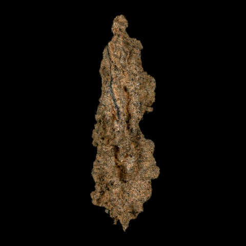 2.6" Fulgurite Petrified Lightning Strike Glass Sahara Desert Algeria - Fossil Age Minerals