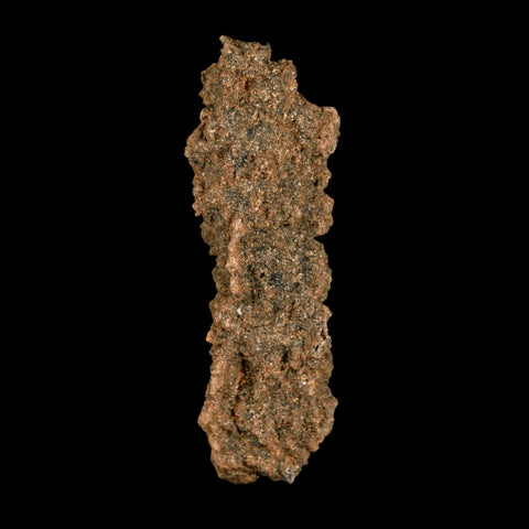 2.3" Fulgurite Petrified Lightning Strike Glass Sahara Desert Algeria - Fossil Age Minerals