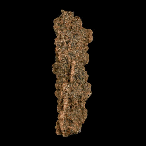2.3" Fulgurite Petrified Lightning Strike Glass Sahara Desert Algeria - Fossil Age Minerals