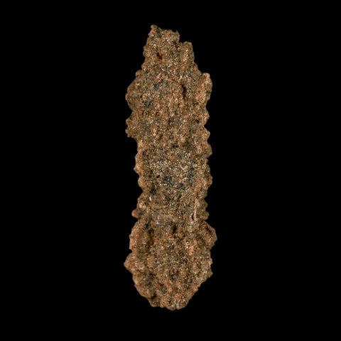 2.3" Fulgurite Petrified Lightning Strike Glass Sahara Desert Algeria - Fossil Age Minerals
