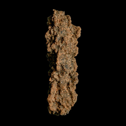 2.3" Fulgurite Petrified Lightning Strike Glass Sahara Desert Algeria - Fossil Age Minerals