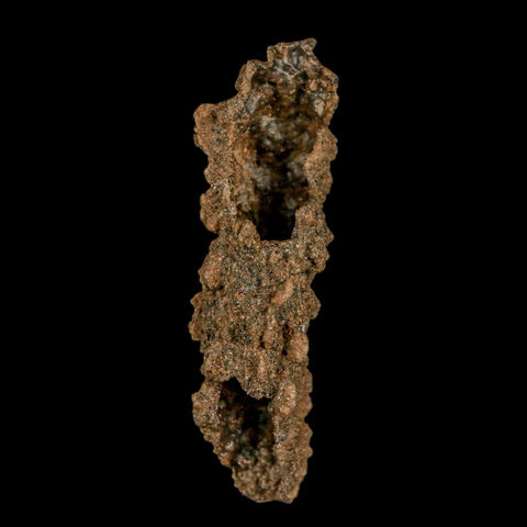 2.3" Fulgurite Petrified Lightning Strike Glass Sahara Desert Algeria - Fossil Age Minerals