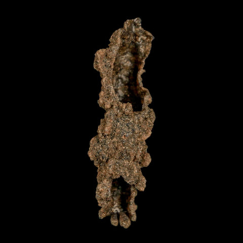 2.3" Fulgurite Petrified Lightning Strike Glass Sahara Desert Algeria - Fossil Age Minerals