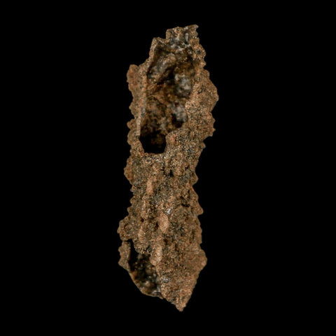 2.3" Fulgurite Petrified Lightning Strike Glass Sahara Desert Algeria - Fossil Age Minerals
