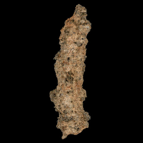 2.8" Fulgurite Petrified Lightning Strike Glass Sahara Desert Algeria - Fossil Age Minerals