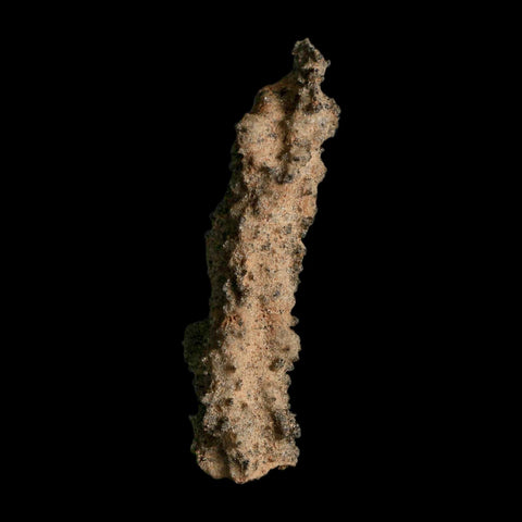 2.8" Fulgurite Petrified Lightning Strike Glass Sahara Desert Algeria - Fossil Age Minerals