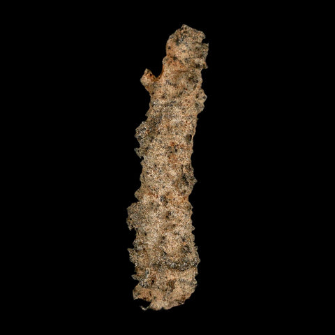 2.8" Fulgurite Petrified Lightning Strike Glass Sahara Desert Algeria - Fossil Age Minerals