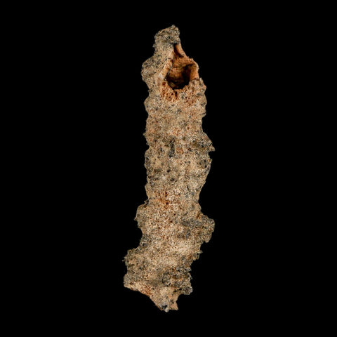 2.8" Fulgurite Petrified Lightning Strike Glass Sahara Desert Algeria - Fossil Age Minerals