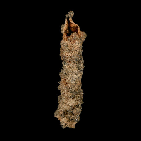 2.8" Fulgurite Petrified Lightning Strike Glass Sahara Desert Algeria - Fossil Age Minerals