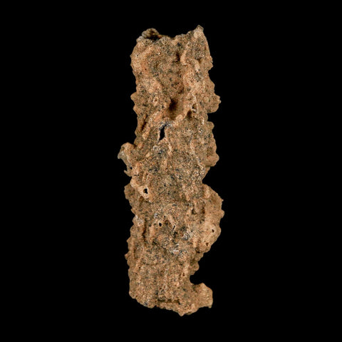 2.3" Fulgurite Petrified Lightning Strike Glass Sahara Desert Algeria - Fossil Age Minerals
