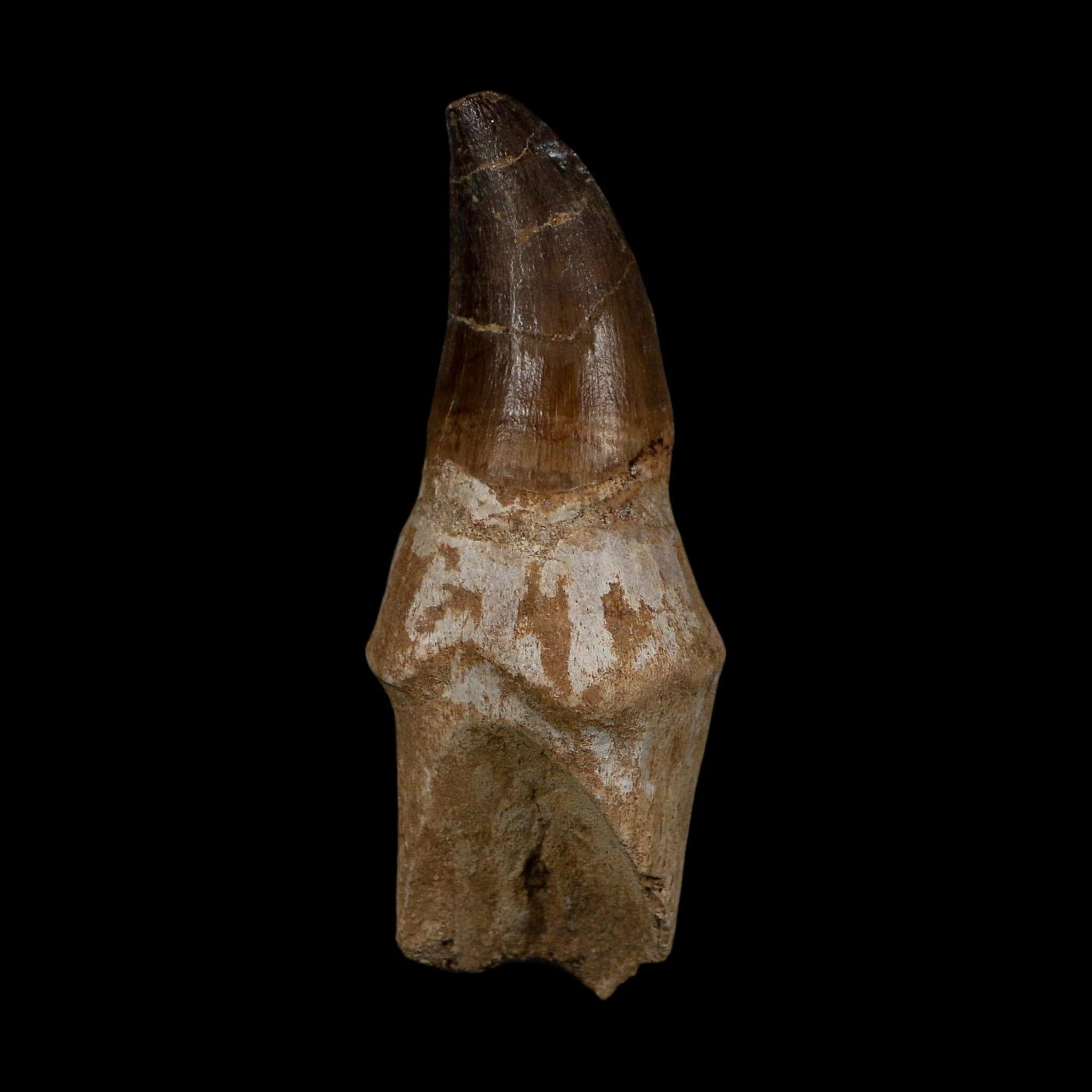 XL 4.1