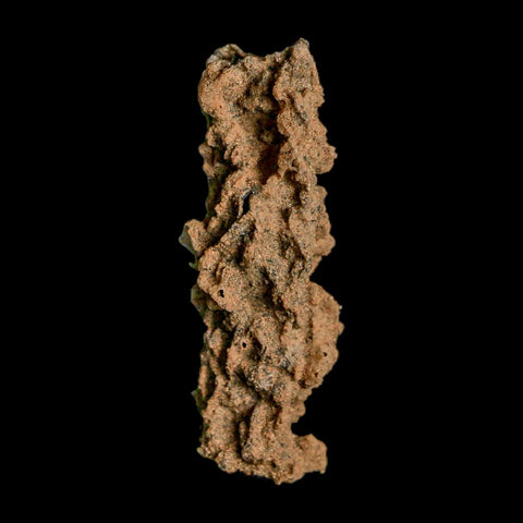 2.3" Fulgurite Petrified Lightning Strike Glass Sahara Desert Algeria - Fossil Age Minerals