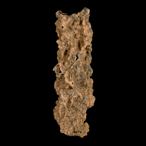 2.3" Fulgurite Petrified Lightning Strike Glass Sahara Desert Algeria - Fossil Age Minerals
