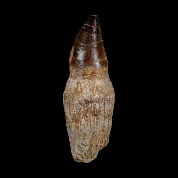 XL 4.1