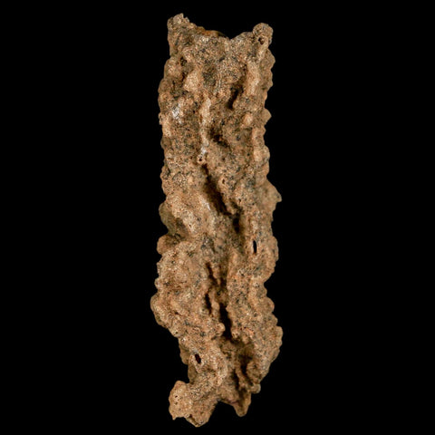 2.3" Fulgurite Petrified Lightning Strike Glass Sahara Desert Algeria - Fossil Age Minerals