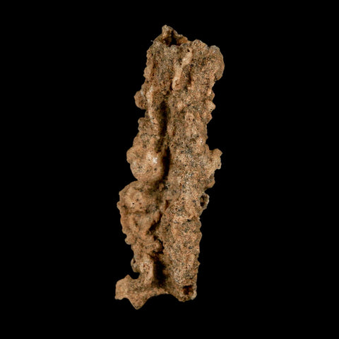 2.3" Fulgurite Petrified Lightning Strike Glass Sahara Desert Algeria - Fossil Age Minerals