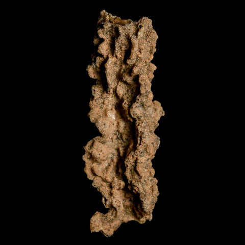 2.3" Fulgurite Petrified Lightning Strike Glass Sahara Desert Algeria - Fossil Age Minerals