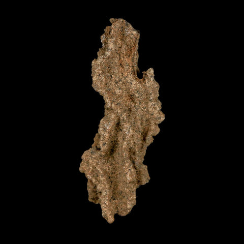 2.6" Fulgurite Petrified Lightning Strike Glass Sahara Desert Algeria - Fossil Age Minerals